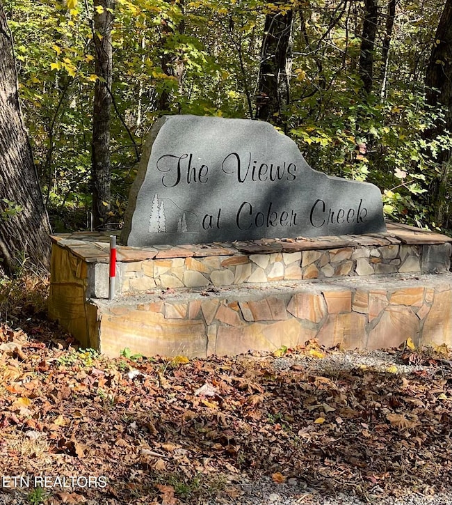 1029 Smithfield Rd, Tellico Plains, TN 37385 - photo 7