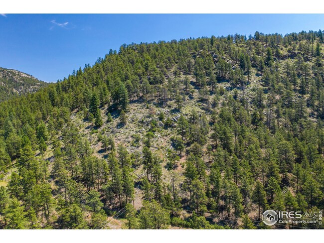 Land extends to the top of the hill and beyond!