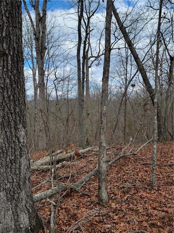 This could be your new home