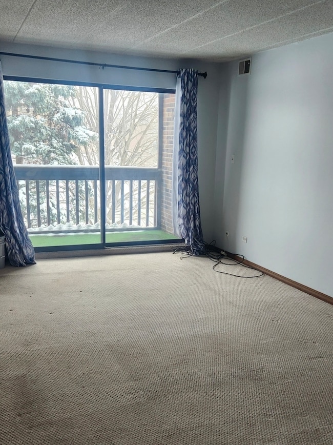 10355 Menard Ave unit 210, Oak Lawn, IL 60453 - photo 5