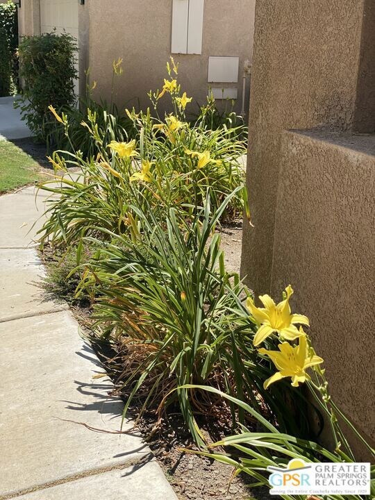 HOA Ammenities