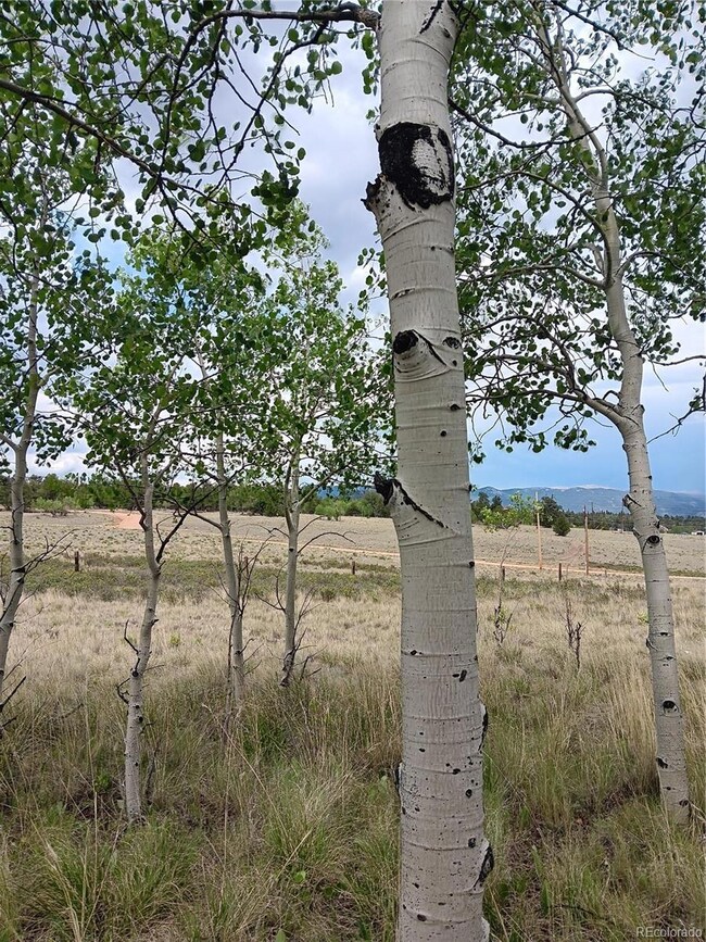 258 Puma Ln unit 53, Jefferson, CO 80456 - photo 6