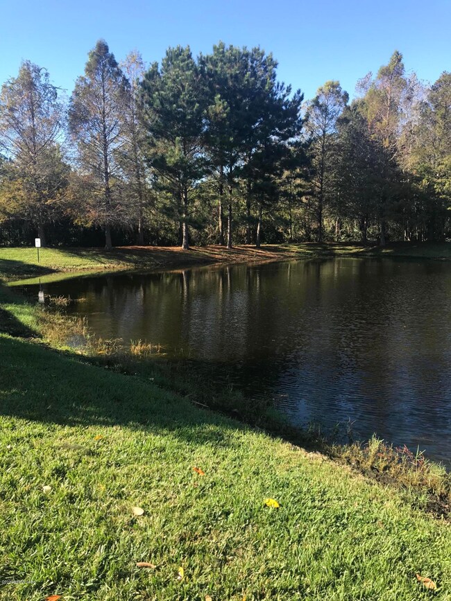 Water View