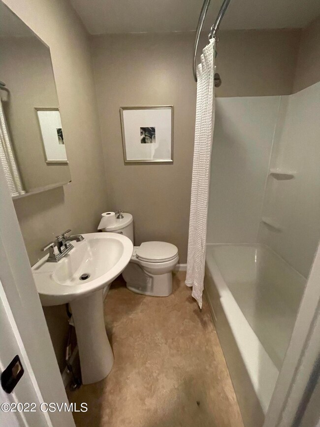 5 N Strawberry Aly, Selinsgrove, PA 17870 - photo 4