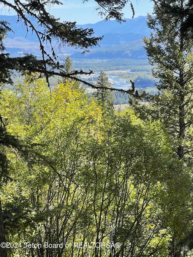 6880 Lupine Trail, Wilson, WY 83014 - photo 2