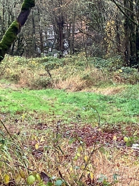 Lower level clearing