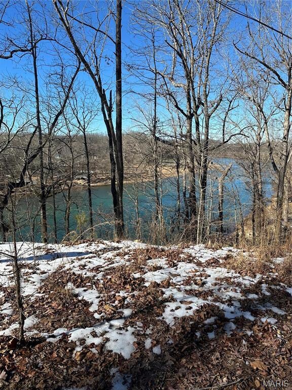 0 0 Ripley U-1a unit MAR25002541, Doniphan, MO 63935 - photo 6