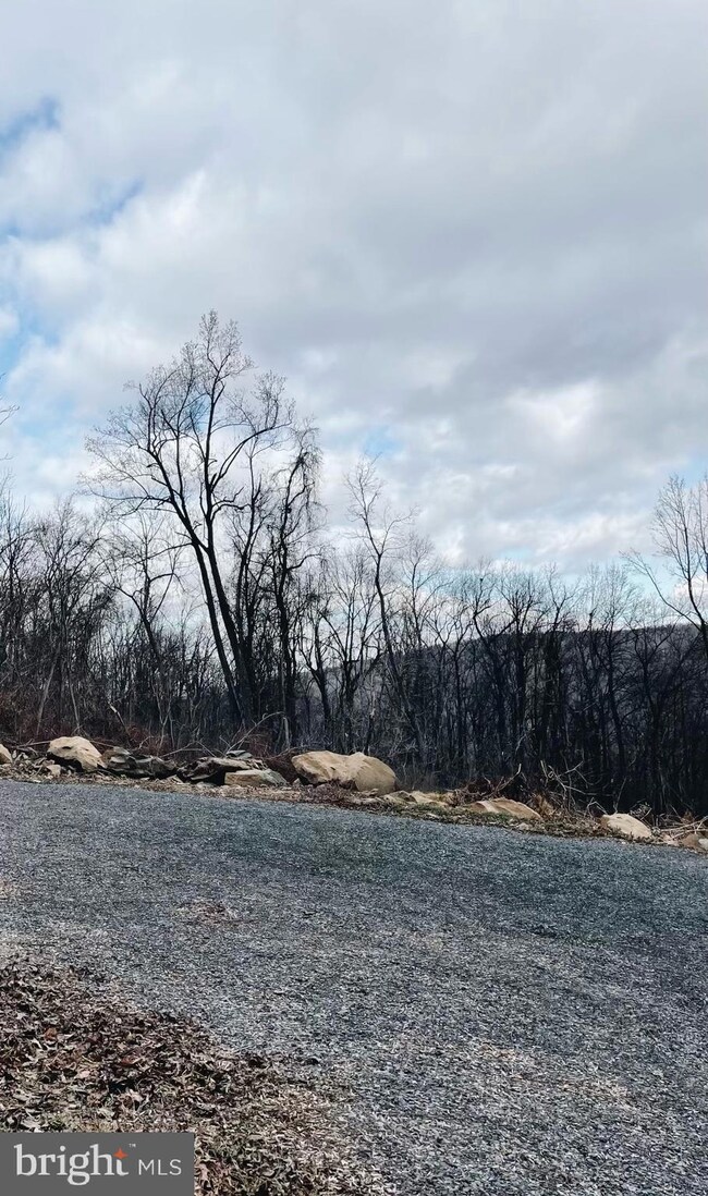 0 Old Orchard Rd unit VAWR2009908, Linden, VA 22642 - photo 4