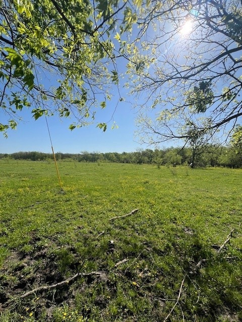 View of tree line where acreage begins