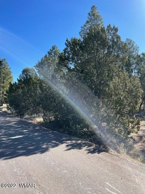 Navajo 1