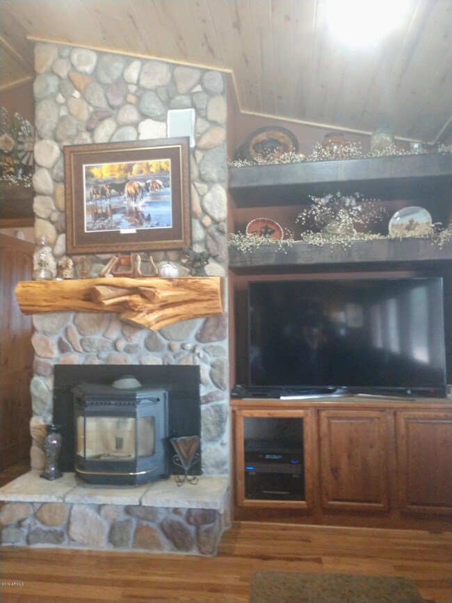 Pellet Stove-Fire Place