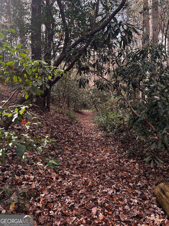 0 Soque Falls Circle Lot 35, Clarkesville, GA 30523 - photo 4
