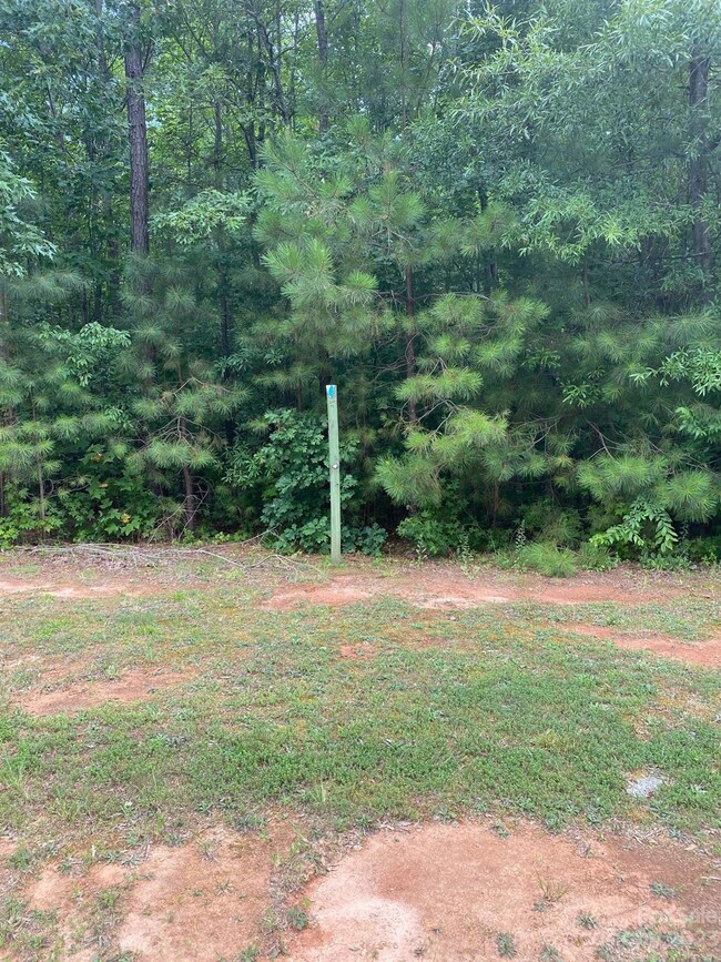 105 Chaska Loop unit 79, Troutman, NC 28166 - photo 3