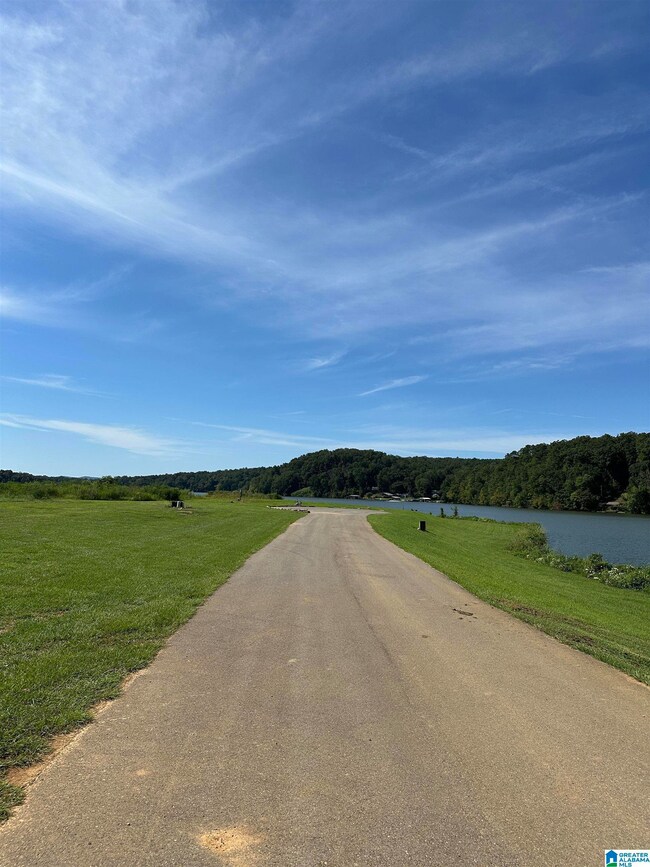 0 Lake Point Dr unit 304 21431282, Lincoln, AL 35096 - photo 3
