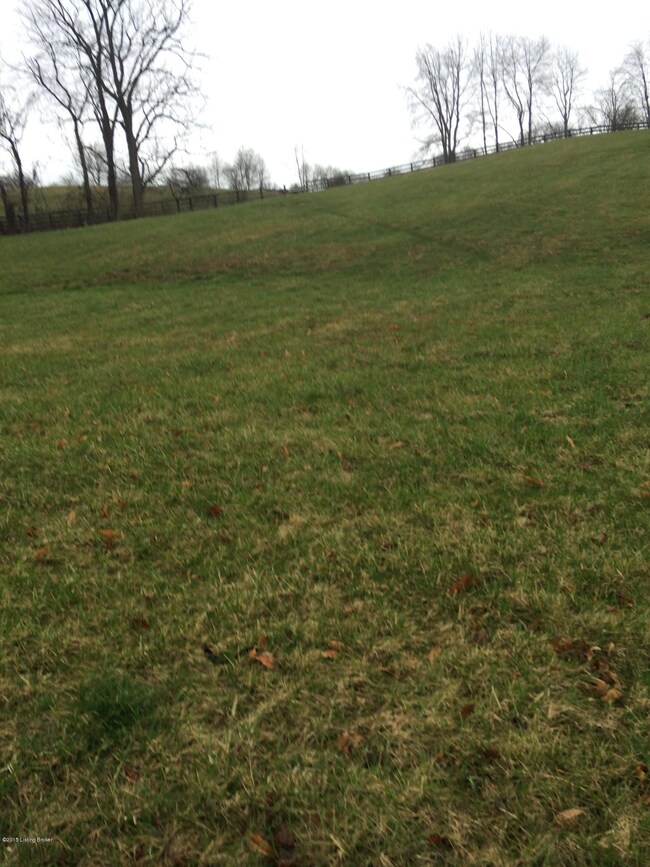 photo1