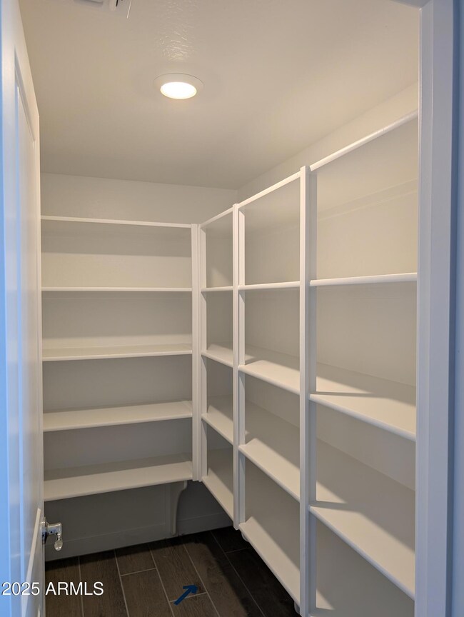 GP Lot 113 Walkin Pantry