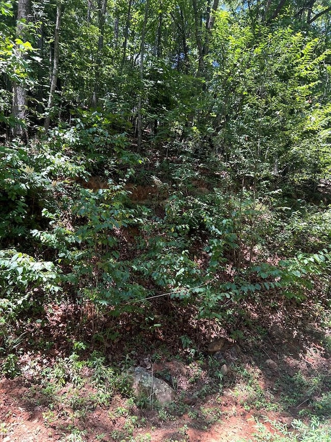 0 Skyview Acres Dr unit 417622, Murphy, NC 28906 - photo 2