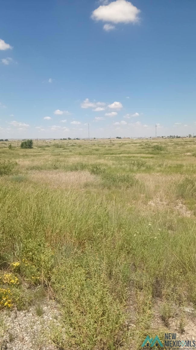 000 Marion Richards Rd, Roswell, NM 88201 - photo 5