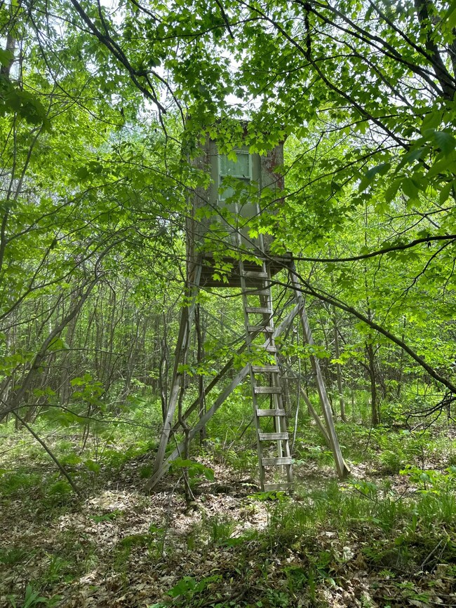 ON Forest Road 503, Phillips, WI 54555 - photo 3