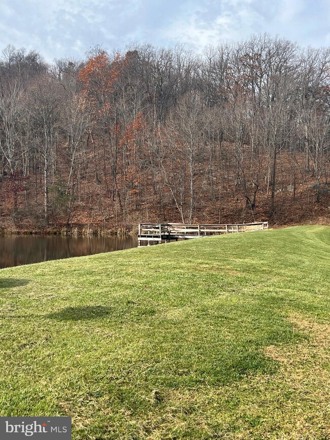 138 Venus Branch Rd, Front Royal, VA 22630 - photo 5