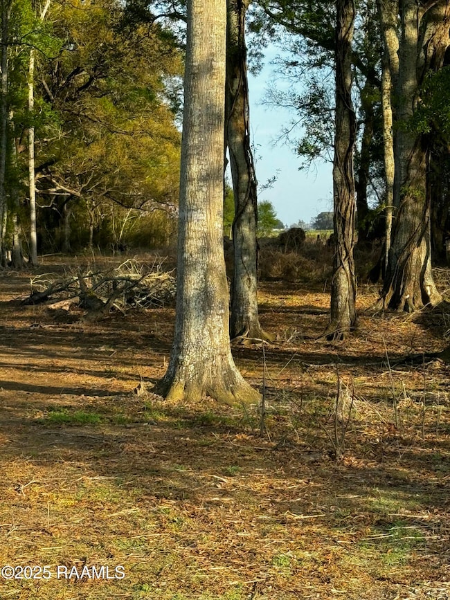867 Saint Peter St, Jeanerette, LA 70544 - photo 2