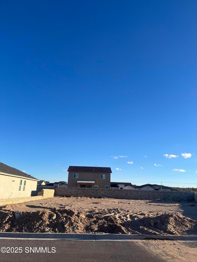 154 Esther Trail, Sunland Park, NM 88008 - photo 4