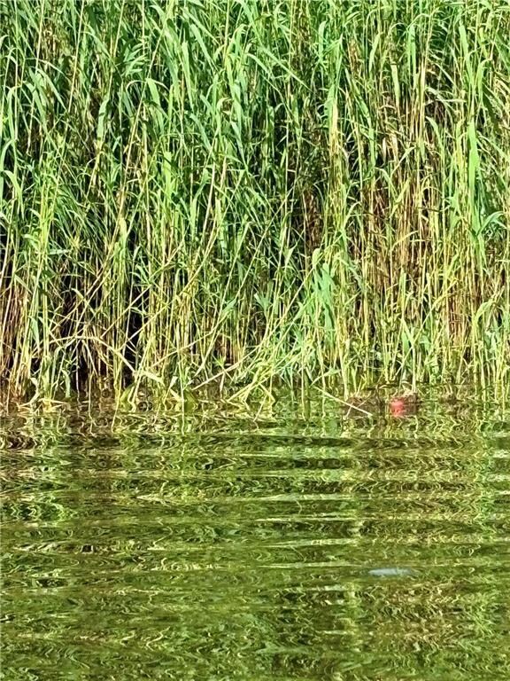 0 Bertha Ln unit 2523524, Lacombe, LA 70445 - photo 5