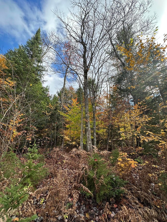 000 Pinewood Rd, McMillan Township, MI 49868 - photo 6