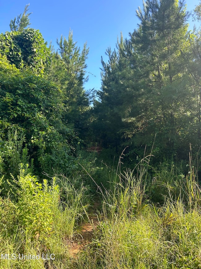 0 Mccullough Rd SE, Bogue Chitto, MS 39629 - photo 4