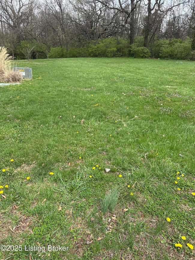 926 Woods Run Rd, Bardstown, KY 40004 - photo 4