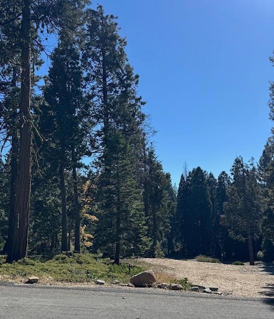 42144 Tourmaline Ln, Shaver Lake, CA 93664 - photo 6