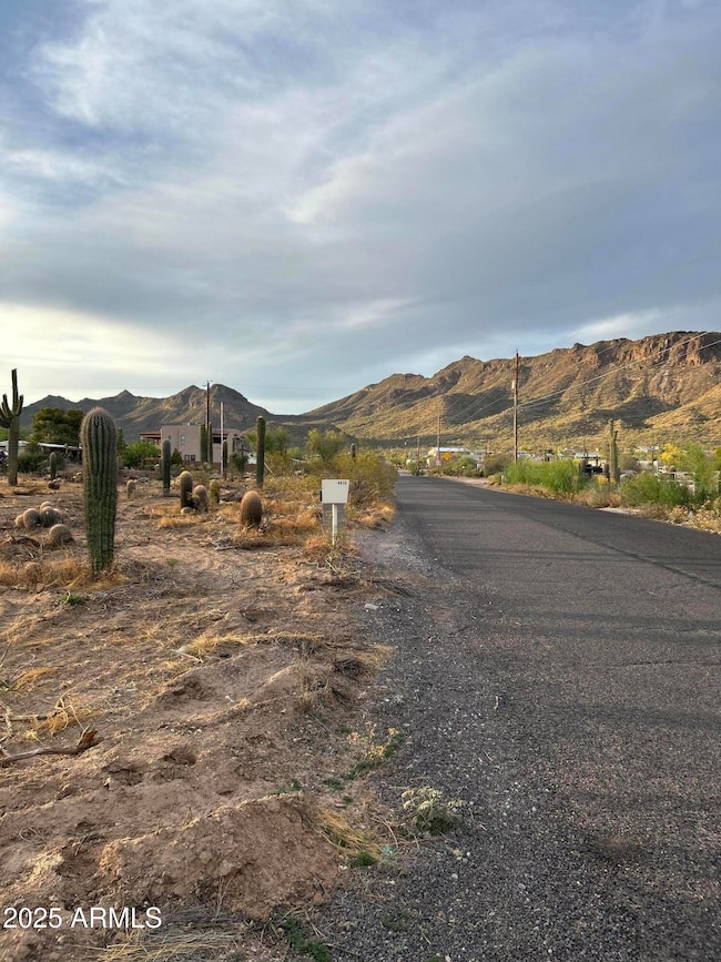 0 N Delaware Dr unit 6956478, Apache Junction, AZ 85120 - photo 4