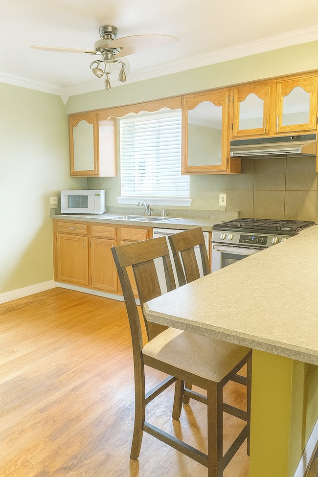 439 N Elm St, Hillside, IL 60162 - photo 3