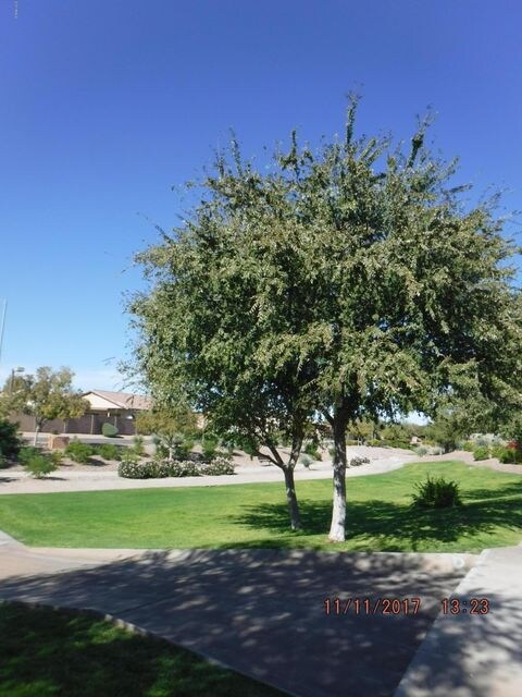 9360 W Deanna Dr, Peoria, AZ 85382 - photo 4