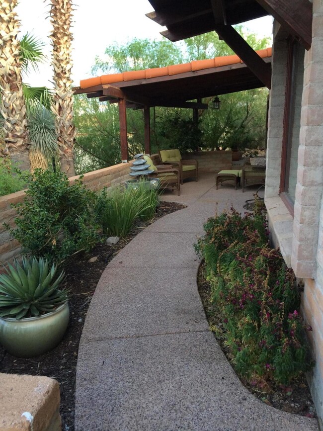 Lush and Humming Bird Haven
