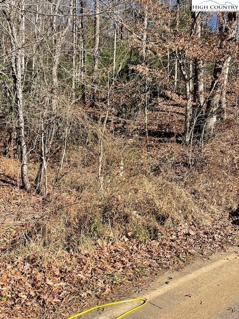 TBD Copeland Rd, Warrensville, NC 28693 - photo 2