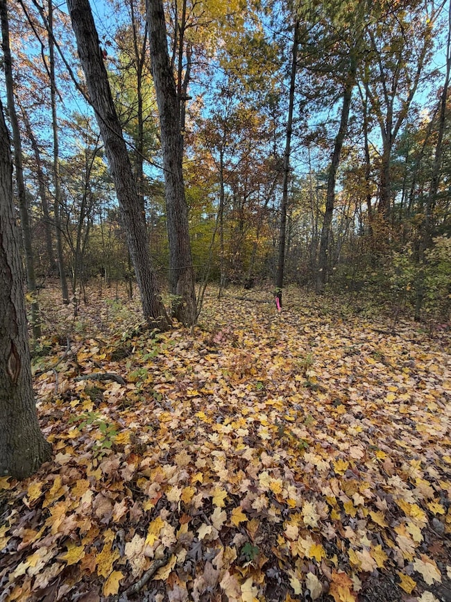 V/L Maple Hill Rd unit Parcel B, Howard City, MI 49329 - photo 5