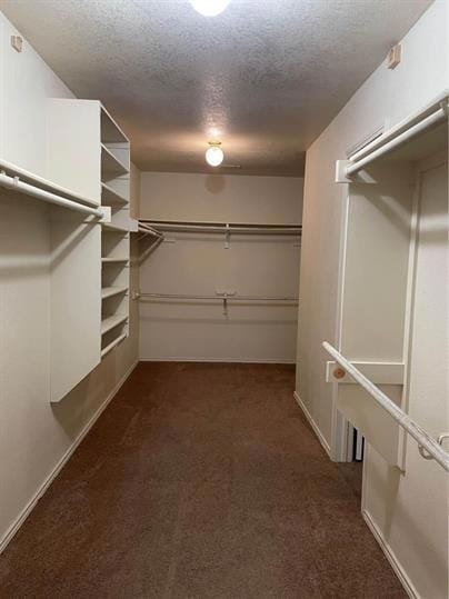 Spacious closet with dark carpet