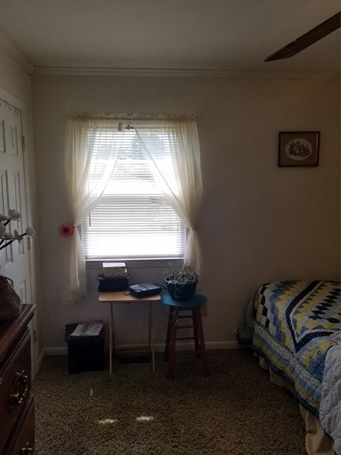 925 Gray St, Roanoke Rapids, NC 27870 - photo 7