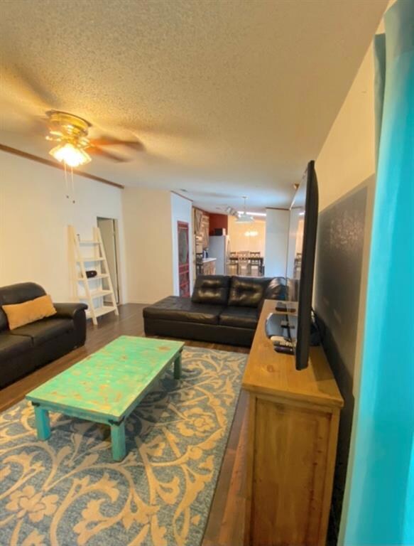 205 Lelon Ln, Springtown, TX 76082 - photo 4