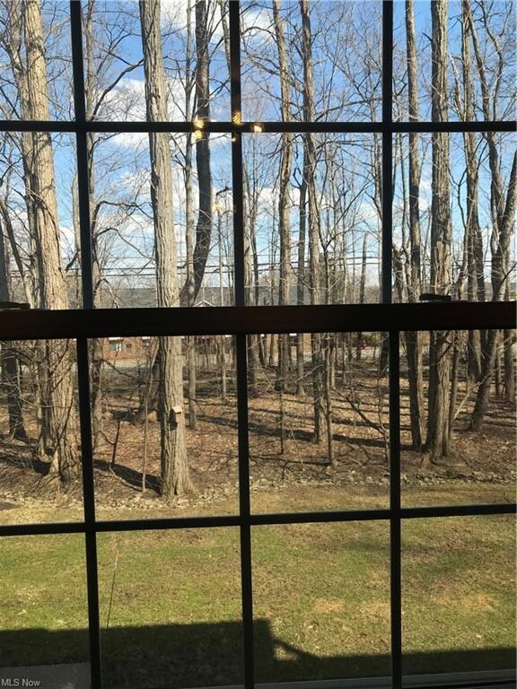 10760 Ravenna Rd unit 201, Twinsburg, OH 44087 - photo 6