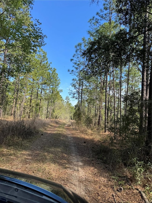 0 SW 156th Ct unit MFRO6331601, Ocala, FL 34481 - photo 4