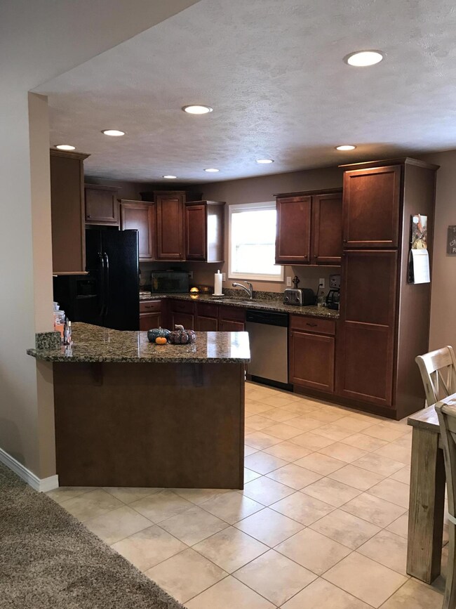 102 Thunder Ridge Ct, Branson, MO 65616 - photo 6