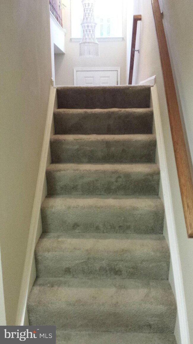 43315 Stonegarden Terrace, Broadlands, VA 20148 - photo 4