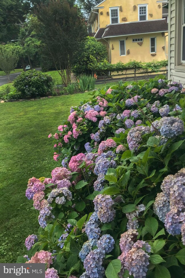 400 Park Ave, Swarthmore, PA 19081 - photo 4