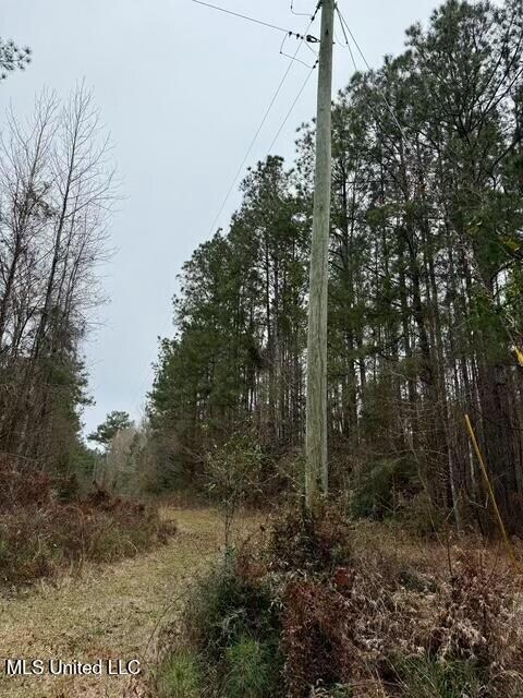 0 Maypop Ln unit 4104657, Meadville, MS 39653 - photo 4