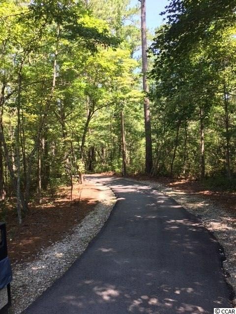1047 Longwood Bluffs Cir unit PC62- Wren A, Murrells Inlet, SC 29576 - photo 6