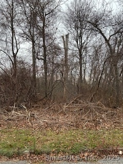 28 Tower Ln, Naugatuck, CT 06770 - photo 2