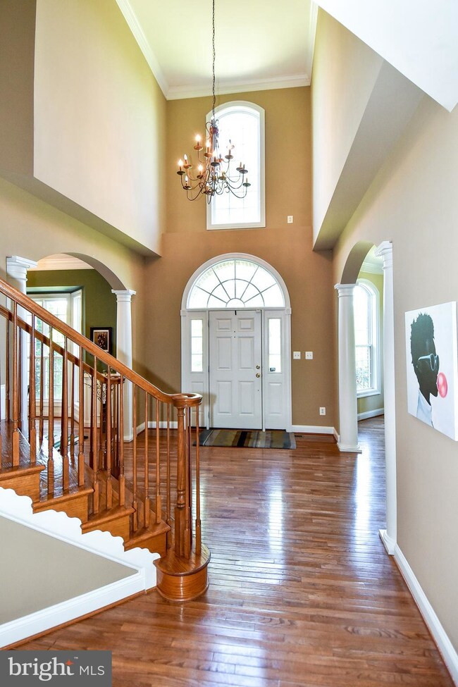 43417 Cedar Pond Place, Chantilly, VA 20152 - photo 4