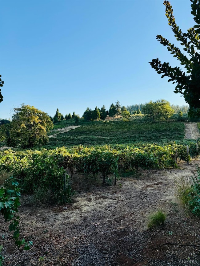 2781 Larsen Dr, Camino, CA 95709 - photo 4